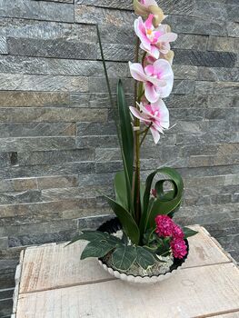 Large Pink Phalenopsis Orchid In Silver Fluted Bowl, 7 of 9