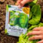 Personalised Plantable Lettuce Children's Story Book, thumbnail 1 of 7