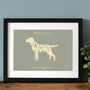 Personalised Labrador Print, thumbnail 2 of 4