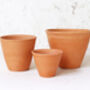 Terracotta Plant Pots Set Of Three Tapered, thumbnail 4 of 6