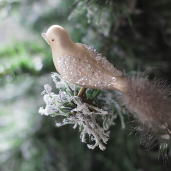 Three Feathered Glass Birds On Clips, 3 of 7