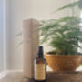 Chamomile, Lavender And Frankincense Pillow Mist, thumbnail 2 of 9