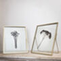 Large Gold Pressed Flower Frame: Black Daisies, thumbnail 3 of 7