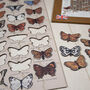 Butterflies Of The British Isles Wooden Jigsaw Puzzle, thumbnail 3 of 7