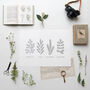 Hand Drawn A Collection Of Herbs Print, thumbnail 2 of 4