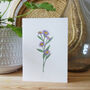 'Aster' Greetings Card, thumbnail 1 of 4