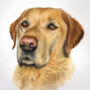 Dog Portrait In Pastel, thumbnail 3 of 5