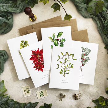 Christmas Botanical Note Card Set, 2 of 5