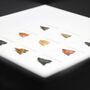 Neolithic Arrowhead Collection Authentic Fossil Shadow Box Frame, thumbnail 3 of 6