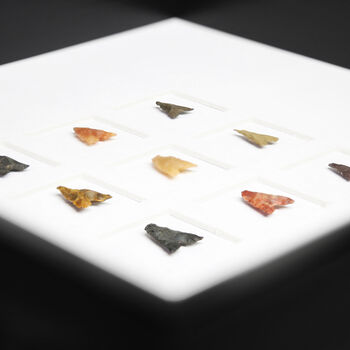 Neolithic Arrowhead Collection Authentic Fossil Shadow Box Frame, 3 of 6