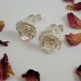 Sterling Silver Rose Ear Studs, thumbnail 2 of 9