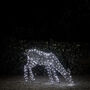 Xl Studley Rattan Doe Dual LED Light Up Reindeer, thumbnail 3 of 3