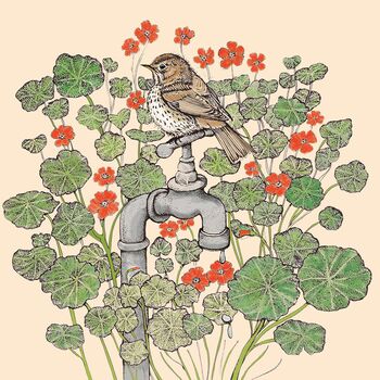 'Song Thrush And Nasturtiums' Print, 3 of 3