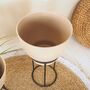 Indoor Plant Stand Beige, thumbnail 4 of 5