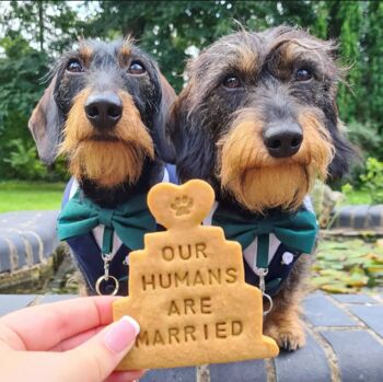 Personalised 'My Humans Are Married' Dog Biscuits Gift, 2 of 5