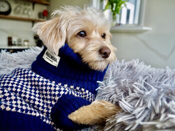 The Monti Lambswool Scarf And Dog Jumper, 7 of 12