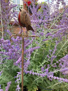 Metal Robin Redbreast Garden Stake – Bird Ornament, 5 of 8