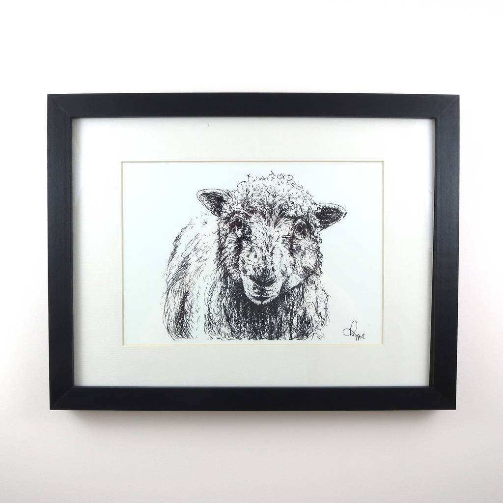 sheep pen and ink illustration framed print by jeeves & co. design