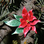 Poinsettia Christmas Flower Brooch, thumbnail 3 of 6