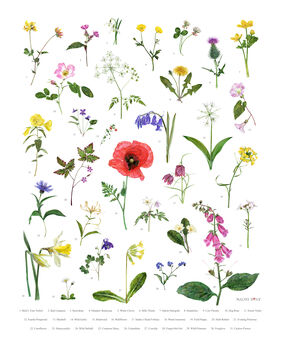 British Wild Flowers Illustrated Print, 2 of 3