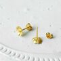 Sterling Silver Dainty Daisy Studs, thumbnail 6 of 12