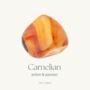 Big Dick Energy Carnelian Crystal Candle Gift, thumbnail 5 of 5