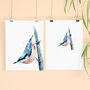Inky Nuthatch Illustration Print, thumbnail 11 of 12