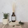 Lemongrass And Peppermint Aromatherapy Reed Diffuser, thumbnail 4 of 4