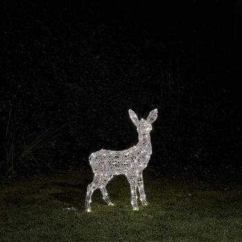 Swinsty Fawn Dual LED Battery Operated Outdoor Reindeer, 3 of 3
