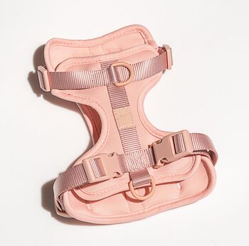 Wild One Dog Harness, 8 of 11