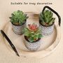 Three Artificial Succulent Plants In Pot, thumbnail 3 of 7