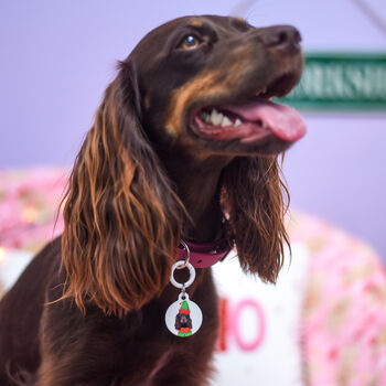 Personalised Dog Tag Christmas Elf Collar Charm, 5 of 12