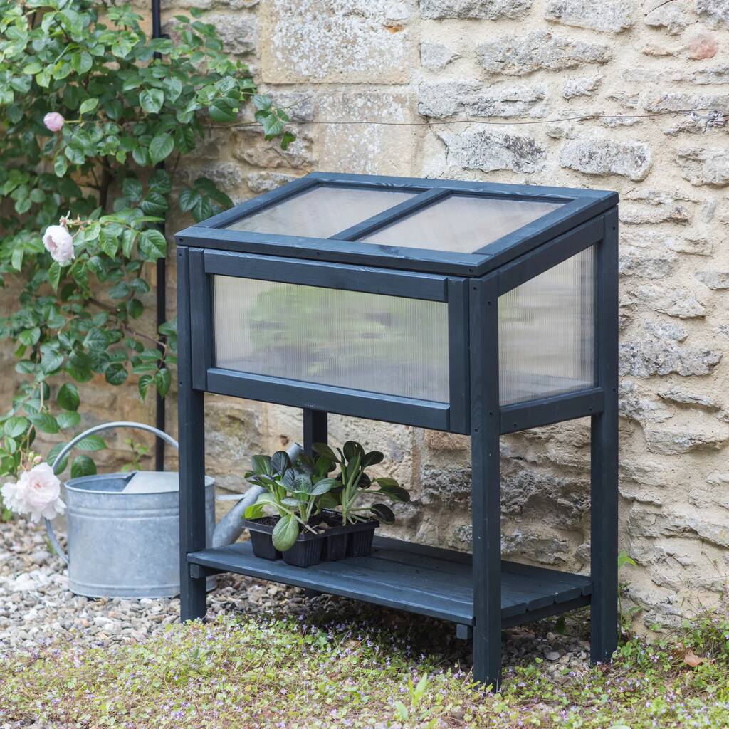 Raised Cold Frame By all things Brighton beautiful