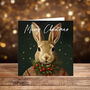 Hare Christmas Cards Pack Of Four Designs Including Envelopes, thumbnail 3 of 5