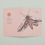 Set Of Four Greeting Cards Of British Insects, thumbnail 5 of 9