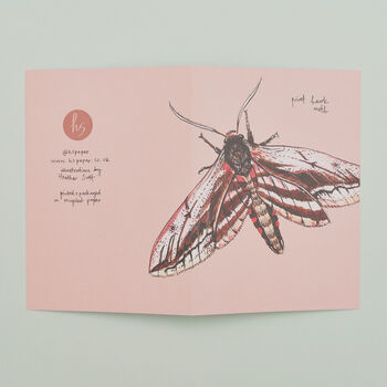 Set Of Four Greeting Cards Of British Insects, 5 of 9