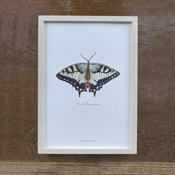 Swallowtail Illustrated Butterfly Print, 5 of 6