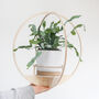 Wooden Plant Hanger Round, thumbnail 4 of 7