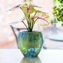 Self Watering Plant Pot Green And Blue, thumbnail 2 of 2