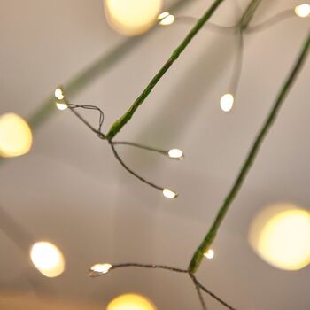 Solar / Battery Dandelion Stake Light, 3 of 4