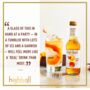 Highball Alcohol Free Cocktails Ginger Dram Case Of 12, thumbnail 5 of 7