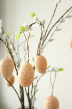 Set Of Twelve Natural Speckled Easter Egg Decorations, 2 of 4