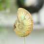 Iridescent Ammonite Fossil Glass Bell Jar, thumbnail 2 of 4