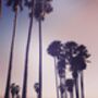 California Palm Tree Sunset Beach Birthday Card, thumbnail 4 of 6