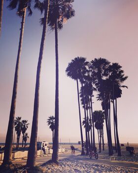 California Palm Tree Sunset Beach Birthday Card, 4 of 6