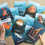 Ocean Activity Flashcards, thumbnail 2 of 5