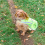 Personalised Reflective Dog Safety Coat / Vest / Jacket, thumbnail 2 of 12