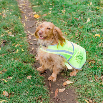 Personalised Reflective Dog Safety Coat / Vest / Jacket, 2 of 12