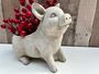 Adorable Pig Plant Pot Stone Indoor Planter Fun Pig Gift, thumbnail 1 of 10