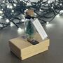 Personalised Miniature Christmas Tree In A Glass Bottle Keepsake, thumbnail 3 of 11
